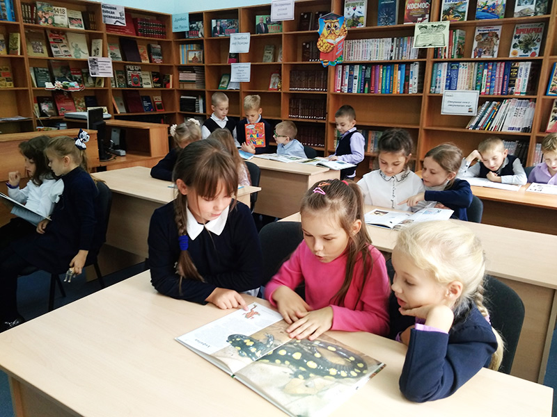 Библиотека